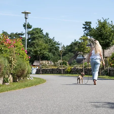 Сasa de vacaciones Seeschwalbe 10 Fuhlendorf (Mecklenburg-Vorpommern)