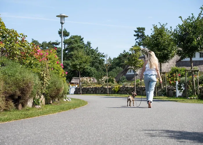 Ferienhaus Seeschwalbe 10 Fuhlendorf (Mecklenburg-Vorpommern)